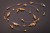 8c80631df1d55a093fc5f8c707aac9b6