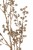 7edf2df6e176b490ebba64be34675ab3
