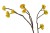 bca37b8a98e2c75950ff31998d21f3f0