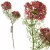 f635fbdc5bc39209bf88d01068a38a1c