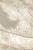 09c170c8be2d993a25a069f88a2cc404