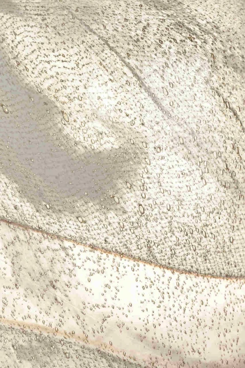 09c170c8be2d993a25a069f88a2cc404
