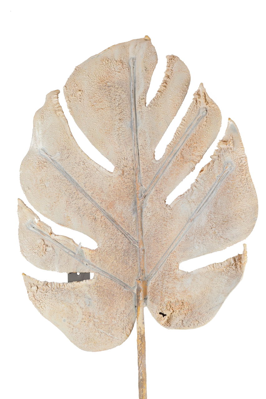 Roślina szt.-Monstera - obrazek 5