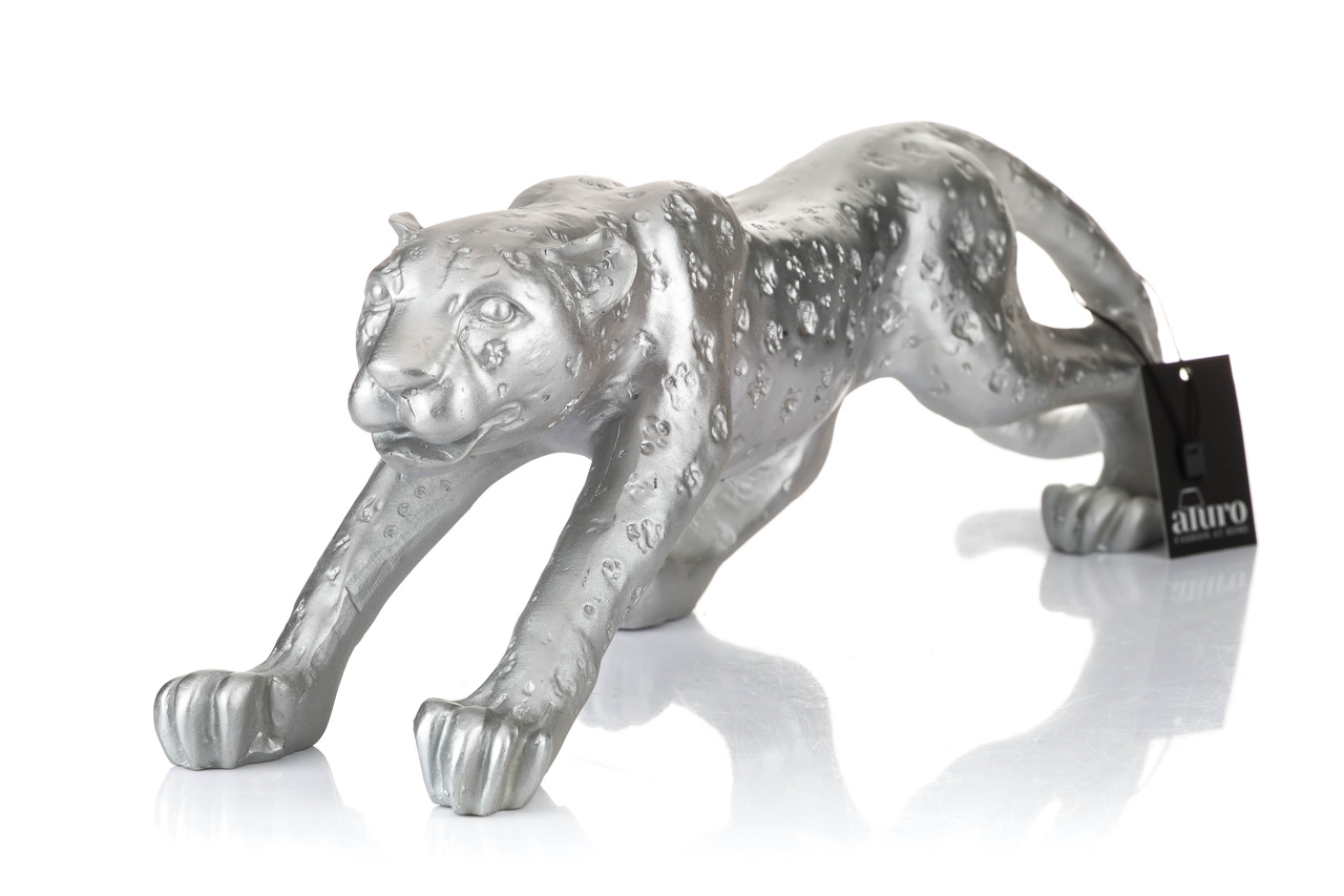 Gepard srebrny - obrazek 2