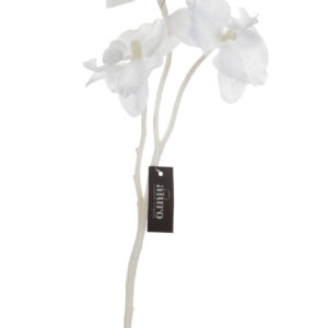 Roślina szt.-gałązka białej orchidei