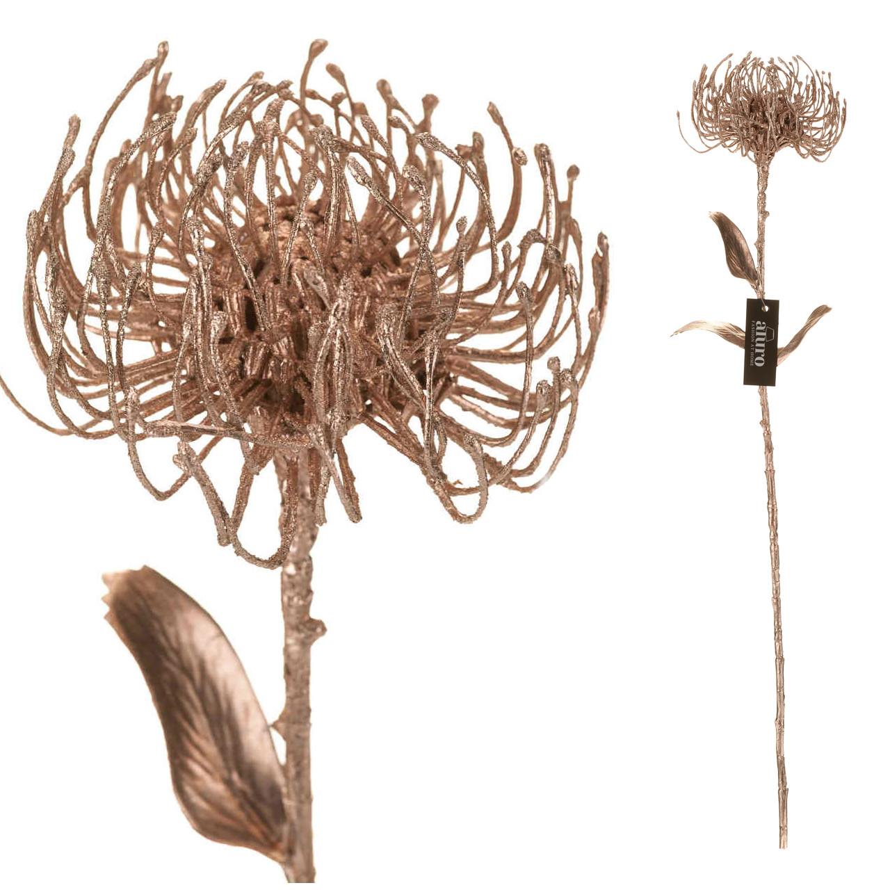 Roślina szt.-Protea - obrazek 3